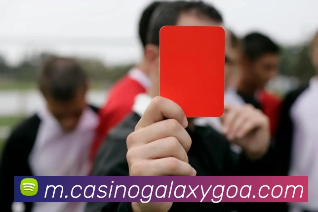 银河galaxy娱乐官网全站App